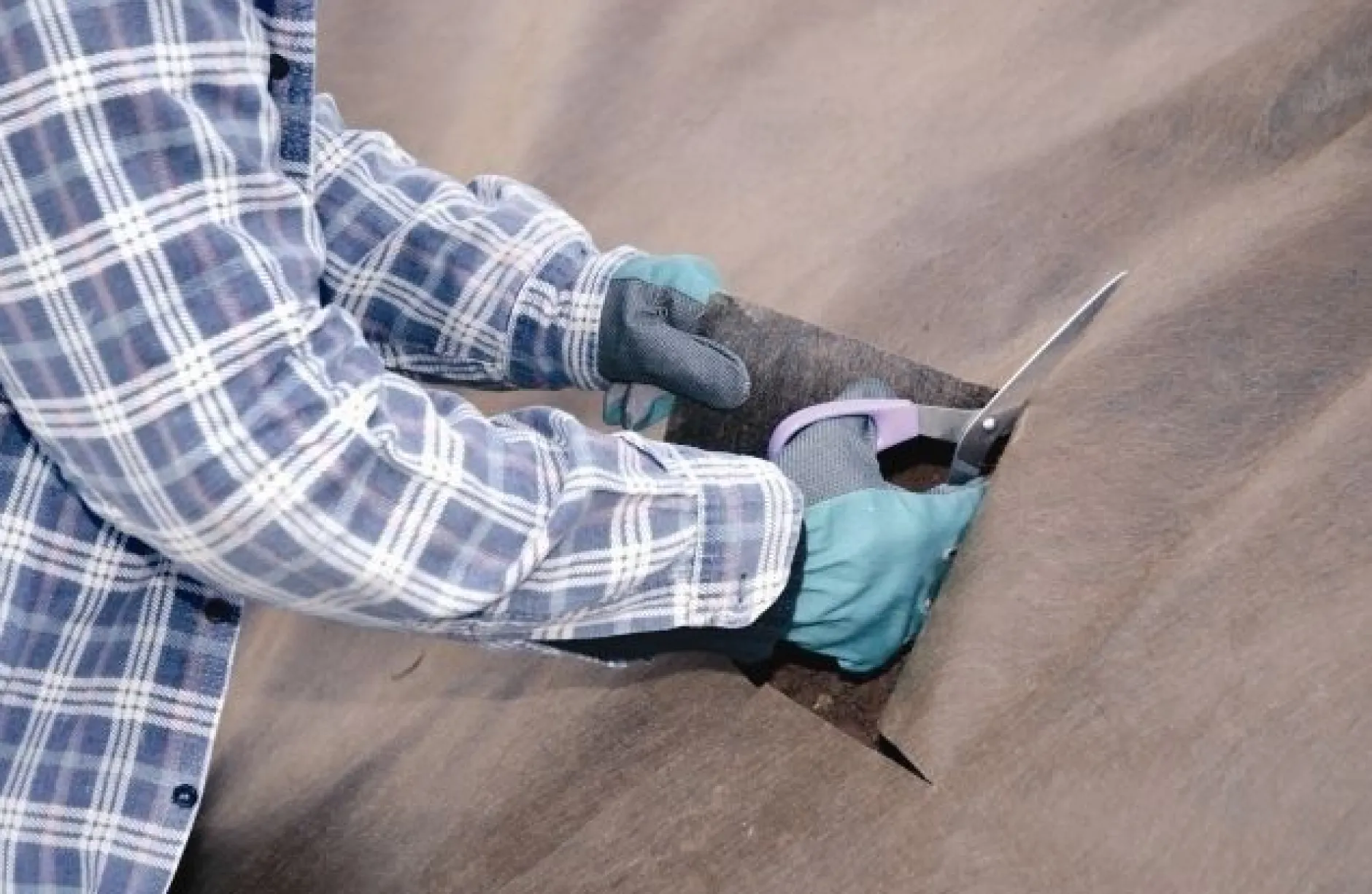 Tuindoek gold 1,15x10m 125g/m²|ohgreen Online