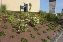 Tuindoek gold 1,15x10m 125g/m²|ohgreen Online