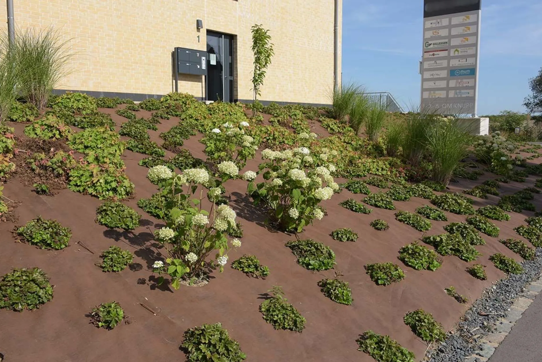 Tuindoek gold 1,15x10m 125g/m²|ohgreen Online