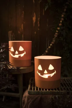 Tuinkaars Royal flame in terracotta schaal 13u - ivoor|ohgreen Online