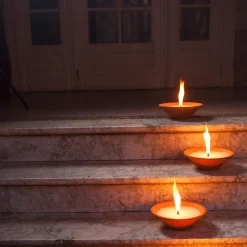 Tuinkaars Royal flame in terracotta schaal 13u - ivoor|ohgreen Online