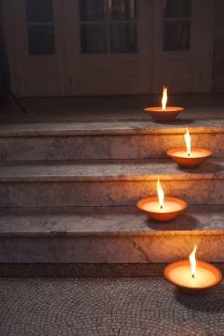 Tuinkaars Royal flame in terracotta schaal 13u - ivoor|ohgreen Online