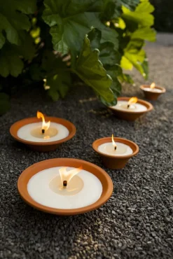 Tuinkaars Royal flame in terracotta schaal 13u - ivoor|ohgreen Online