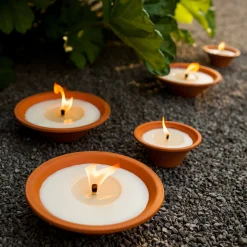 Tuinkaars Royal flame in terracotta schaal 13u - ivoor|ohgreen Online