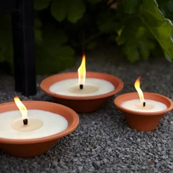 Tuinkaars Royal flame in terracotta schaal 13u - ivoor|ohgreen Online