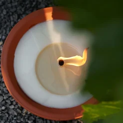 Tuinkaars Royal flame in terracotta schaal 13u - ivoor|ohgreen Online