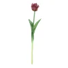 Tulipa|ohgreen Clearance