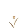 Tulp metaal goud s (8x4x30cm)|ohgreen