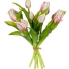 Tulpenbundel creme/roze|ohgreen Clearance