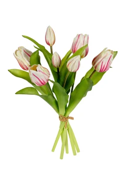 Tulpenbundel creme/roze|ohgreen Clearance