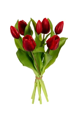 Tulpenbundel donker rood|ohgreen Online