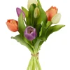 Tulpenbundel geel/zalm mix|ohgreen Online