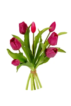 Tulpenbundel kersenrood|ohgreen Hot