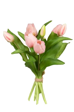 Tulpenbundel licht roze|ohgreen Online