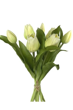 Tulpenbundel lichtgroen|ohgreen Sale