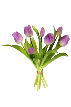 Tulpenbundel lila|ohgreen Hot