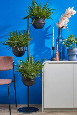 Twist Kegelkaars - H25 x 5 cm|ohgreen New