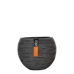 Vaas bol Rib 28x25|ohgreen Best