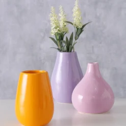 Vaas Buntia|ohgreen New