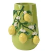 Vaas Citroenen|ohgreen Online