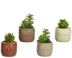 Vetplant 12cm groen|ohgreen Discount