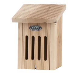 Vlinderkast in cadeaudoos|ohgreen