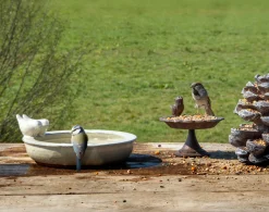 Vogelbad|ohgreen Sale