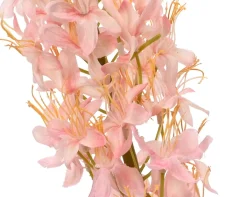 Vossenstaart|ohgreen Discount