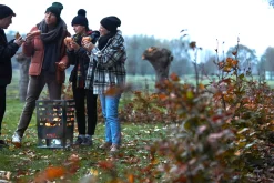 Vuurkorf Jill|ohgreen Online