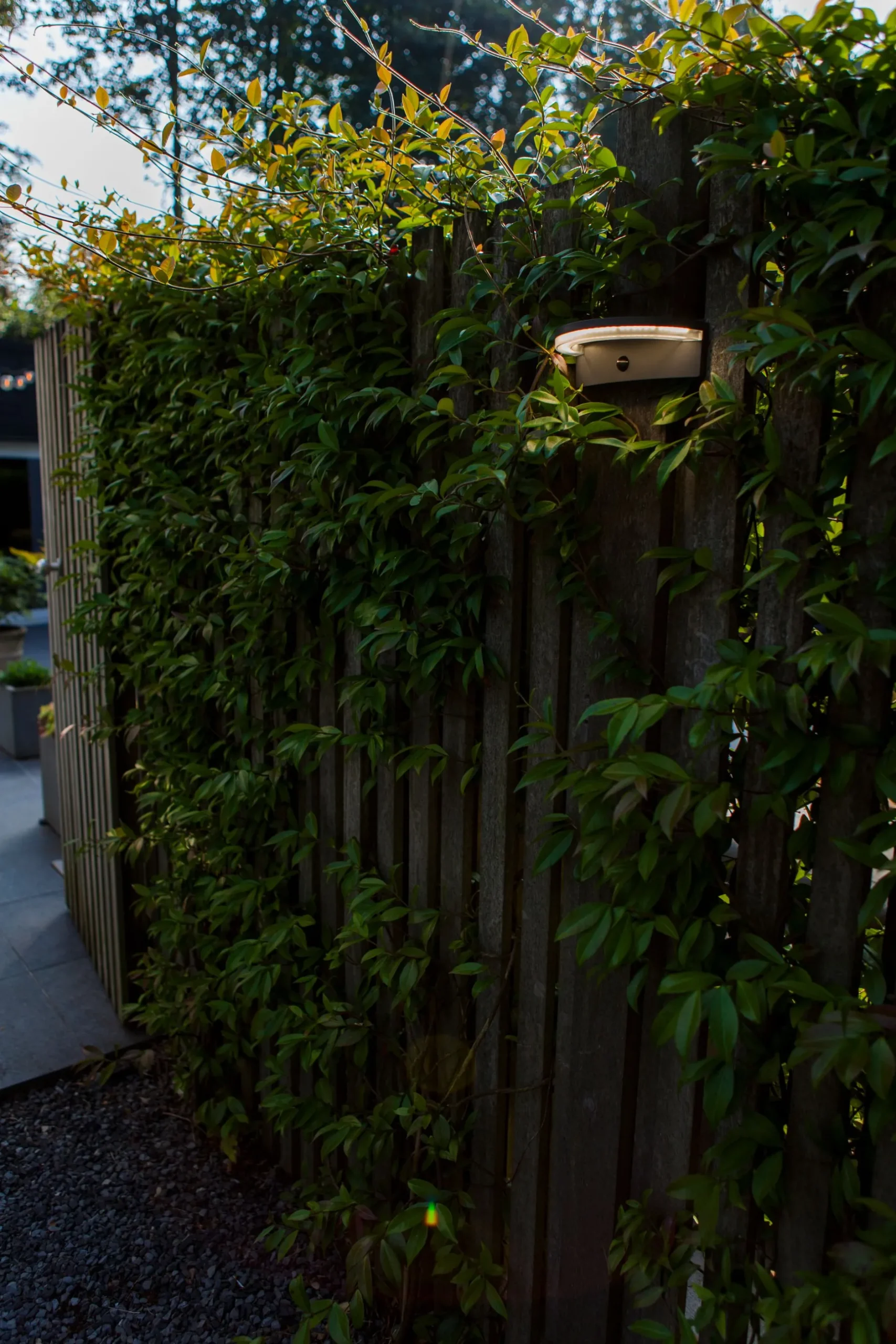 Vyzor solar wandlamp|ohgreen Best