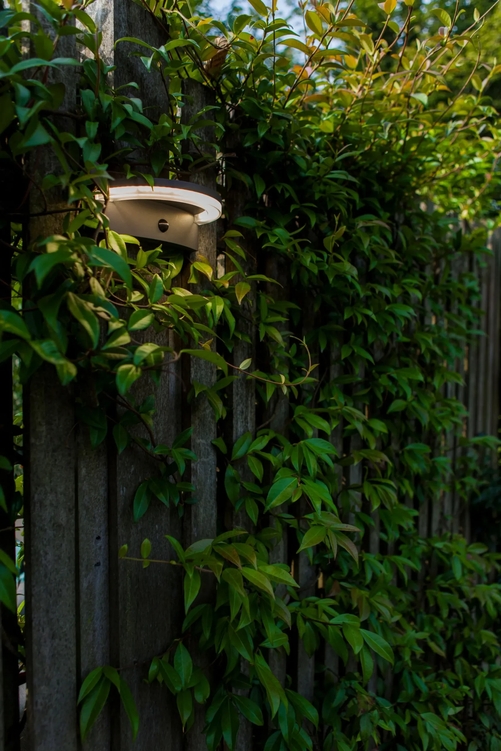 Vyzor solar wandlamp|ohgreen Best