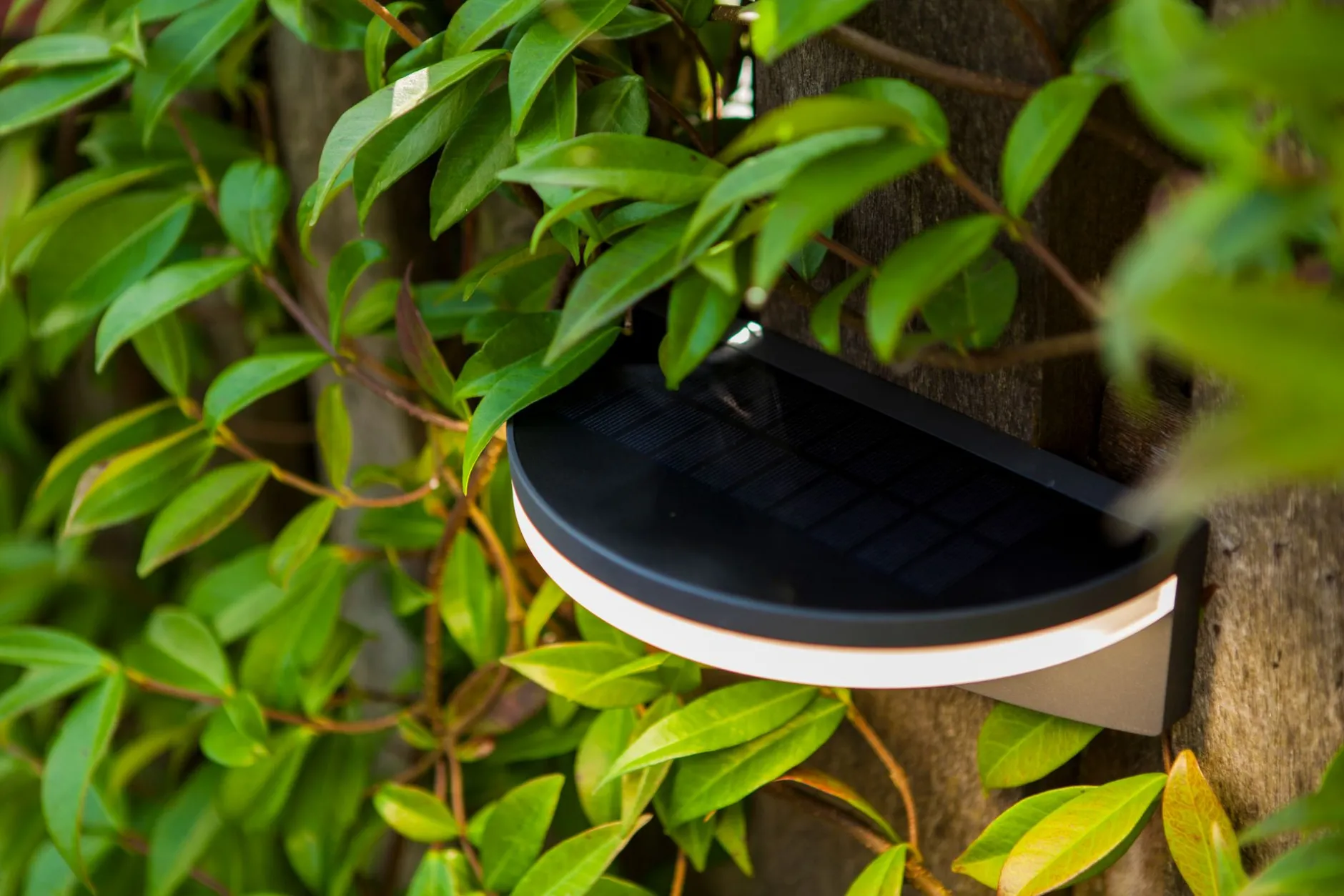 Vyzor solar wandlamp|ohgreen Best