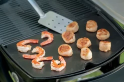 WEBER BAKPLAAT Q 2000 SERIES|ohgreen Online