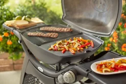 WEBER BAKPLAAT Q 3000 SERIES|ohgreen Hot