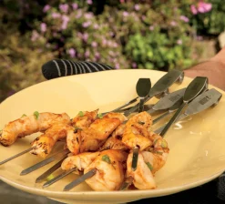 WEBER GRILLROOSTER EN SPIESENSET|ohgreen Discount