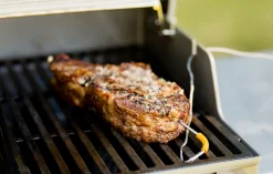 WEBER IGRILL PRO VLEESSENSOR|ohgreen Clearance