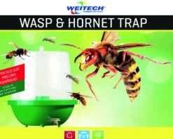 Wespen- en hoornaarval|ohgreen Online