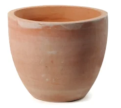 Whitewash egg pot d25h22|ohgreen Online
