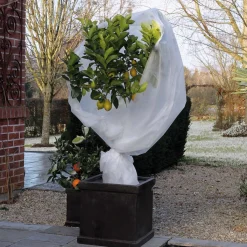 Winterafdekvlies 2x5m wit 30g/m²|ohgreen Best