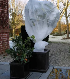 Winterafdekvlies 2x5m wit 30g/m²|ohgreen Best