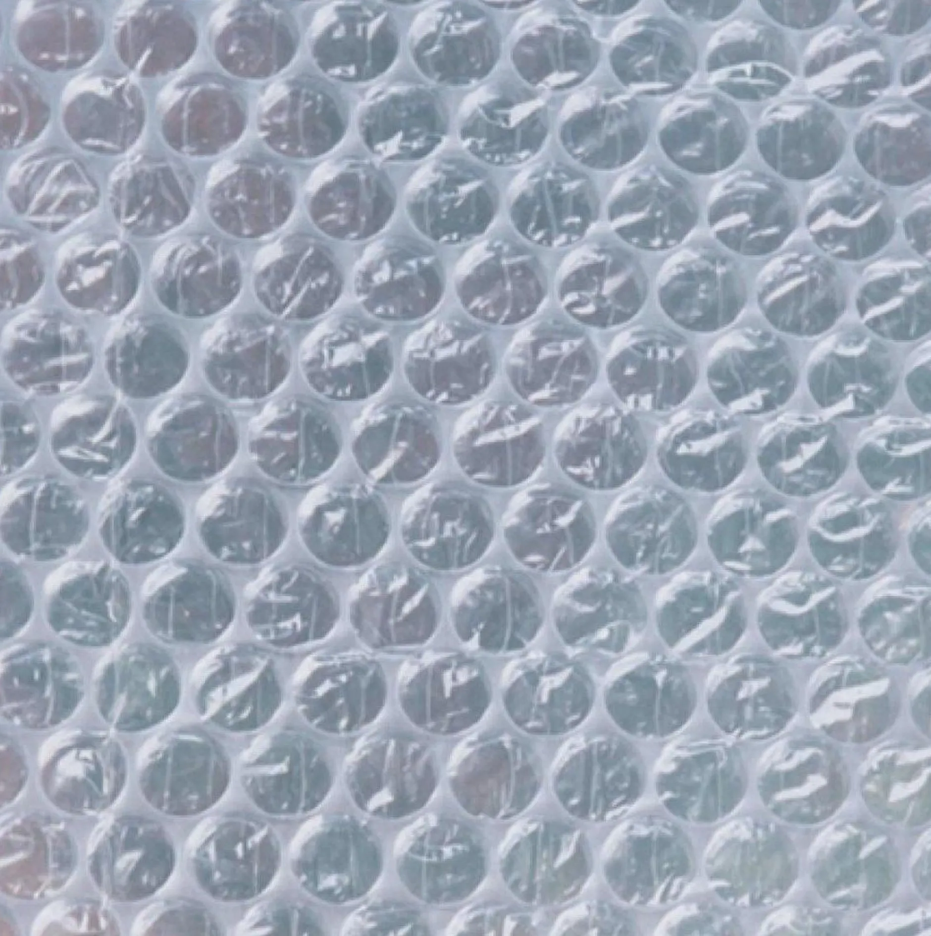 Winternoppenfolie op rol 0,50x5m Ø10mm|ohgreen New