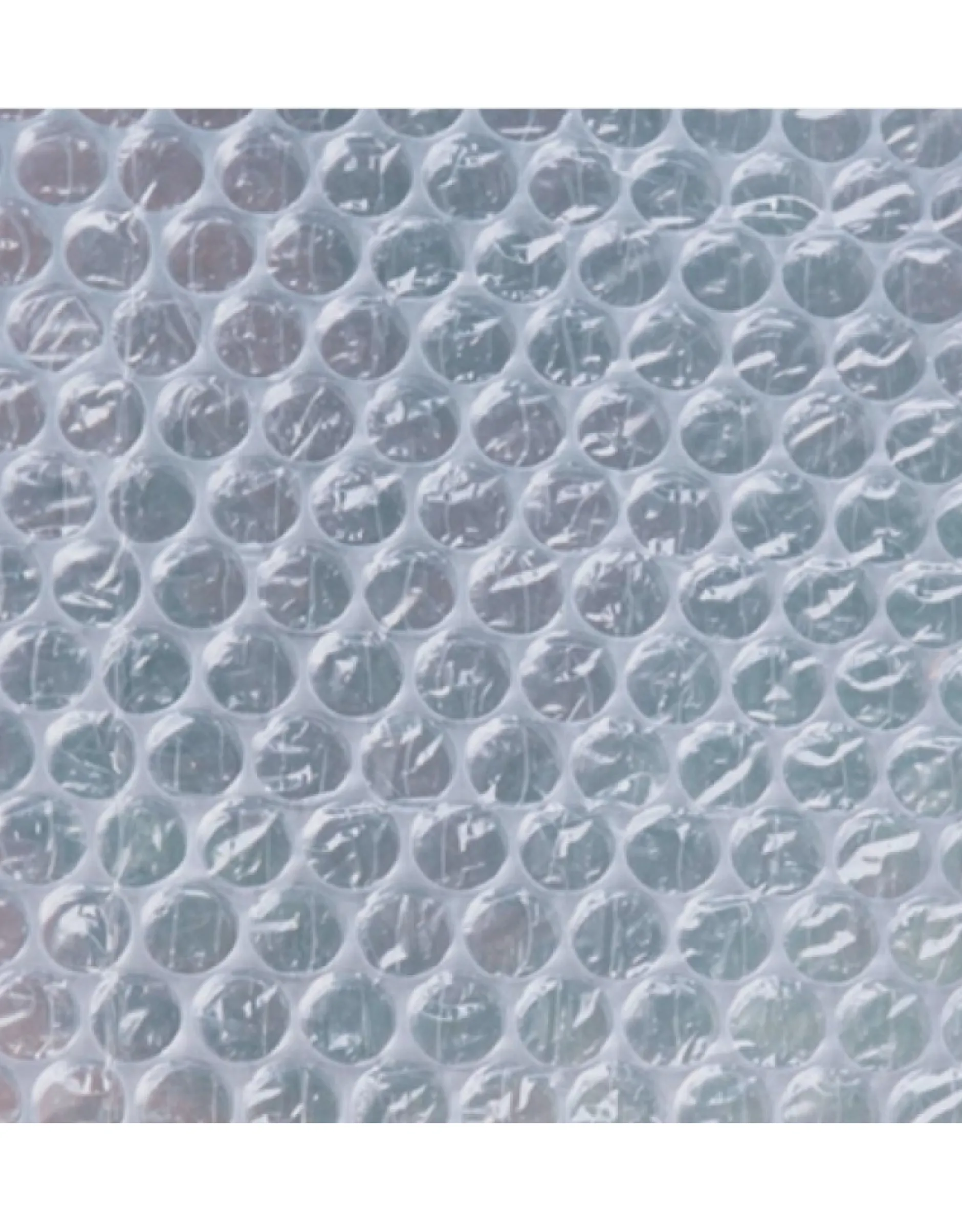 Winternoppenfolie 1x3m dia 10mm|ohgreen Online