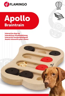 Wooden brain train apollo 30x20cm|ohgreen Online