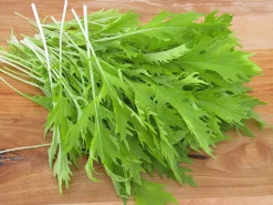 Zaden: aziatischesla mizuna|ohgreen Sale