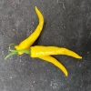 Zaden: cayenne-peper geel|ohgreen Sale
