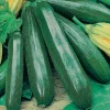Zaden: courgette black beauty|ohgreen Clearance