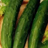 Zaden: komkommer vert long maraicher|ohgreen New