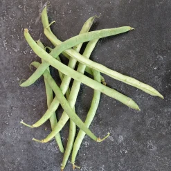 Zaden: stamslaboon (prinsessenboon) koning der belgen|ohgreen Online