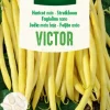 Zaden struikboon victor 100g|ohgreen Discount