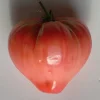 Zaden: tomaat coeur de boeuf rose|ohgreen Hot